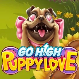 Go High Puppy Love online slot from RubyPlay – play at corgibet-casino.ca