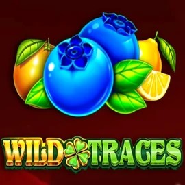 Play the Wild Traces slot by Amusnet Interactive on Corgibet Casino